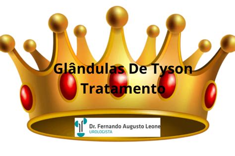 glandula de tyson|Glándulas de Tyson